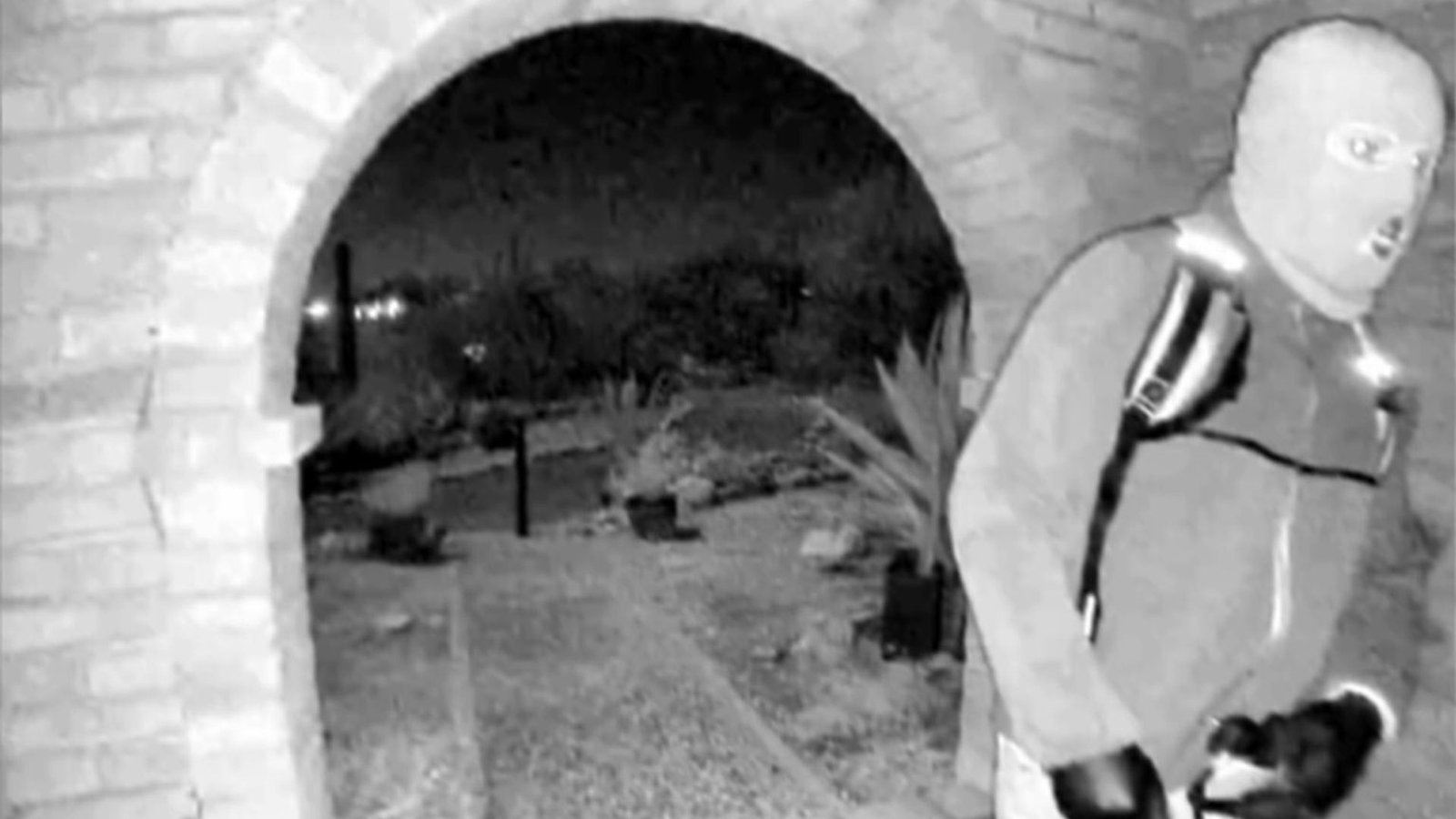 FBI releases photos of ‘armed individual’ in search for news presenter’s missing mother