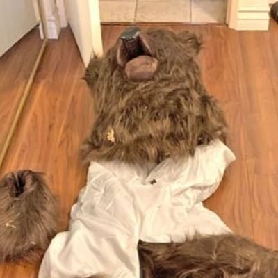 Trio sentenced over ‘bear costume’ insurance fraud scam
